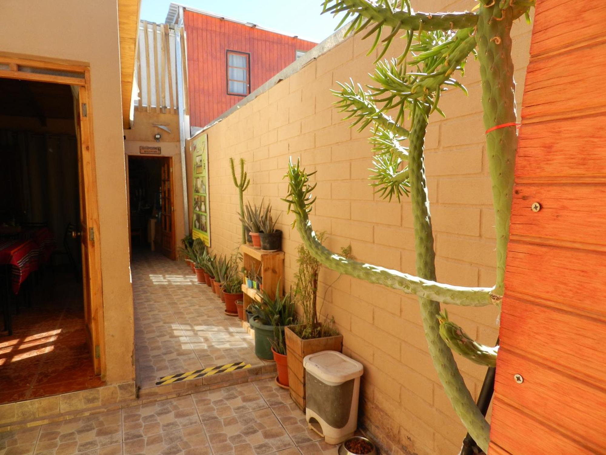Hostal Illari سان بيدرو دي أتاكاما المظهر الخارجي الصورة